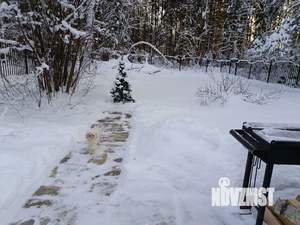 Дом 126м², 2-этажный, посуточно,