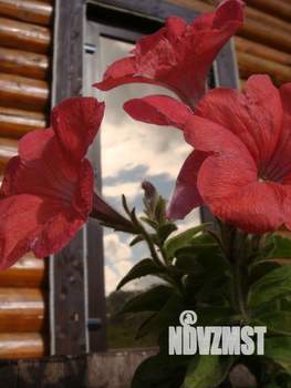 Дом 77м², 2-этажный, посуточно,