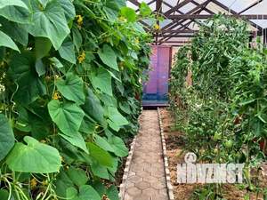 Коттедж 288м², 3-этажный, участок 12 сот.