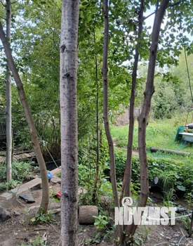 Дача 50м², 2-этажный, участок 7 сот.