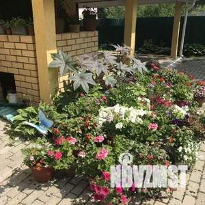 Коттедж 362м², 3-этажный, участок 11 сот.