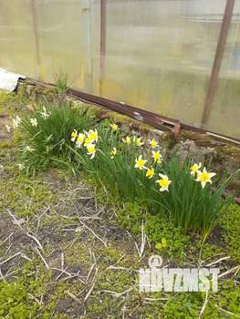 Дача 42м², 3-этажный, участок 6 сот.