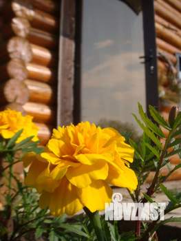 Дом 77м&sup2;, 2-этажный, на длительный срок, 