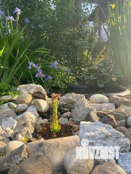 Коттедж 150м², 2-этажный, участок 7 сот.  