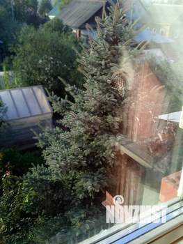 Коттедж 304м², 2-этажный, участок 6 сот.  