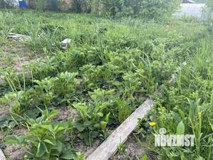 Дом 30м², 1-этажный, участок 6 сот.  