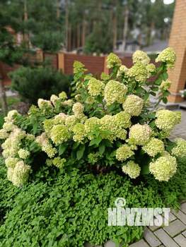 Коттедж 290м², 2-этажный, участок 8 сот.  