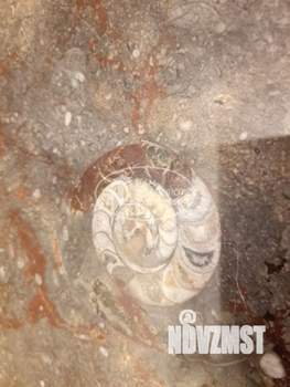 Дом 366м&sup2;, 2-этажный, участок 5 сот.  