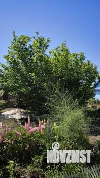 Дом 81м², 2-этажный, участок 6 сот.  