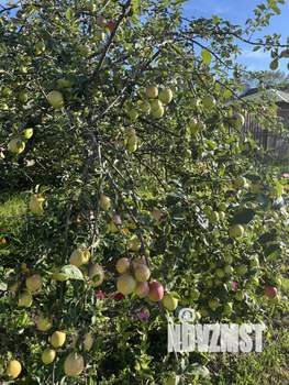 Дом 47м&sup2;, 1-этажный, участок 6 сот.  