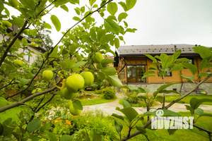 Коттедж 235м², 3-этажный, участок 9 сот.  