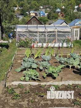 Дом 25м², 1-этажный, участок 5 сот.  