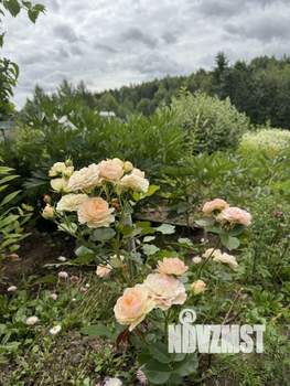 Дом 45м², 2-этажный, участок 11 сот.  