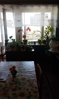 Фото комнаты на продажу (3)