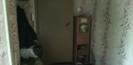 Фото комнаты на продажу (7)