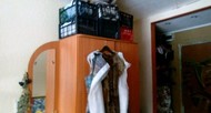 Фото комнаты на продажу (3)