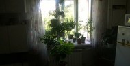 Фото комнаты на продажу (3)