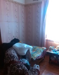 Фото комнаты на продажу (5)