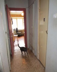 Фото комнаты на продажу (4)