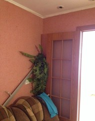 Фото комнаты на продажу (5)