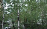 Фото комнаты на продажу (5)