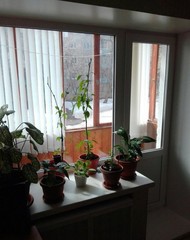 Фото комнаты на продажу (3)