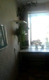 Фото комнаты на продажу (5)