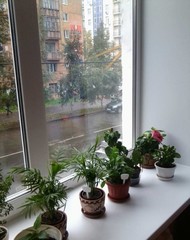 Фото комнаты на продажу (6)