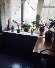 Фото комнаты на продажу (4)