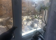 Фото комнаты на продажу (4)