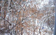 Фото комнаты на продажу (6)