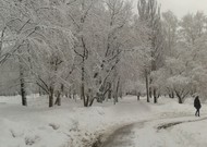Фото комнаты на продажу (5)