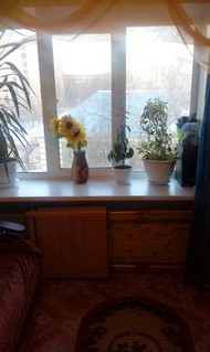 комната в общежитии, 18м2, 5/5 этаж