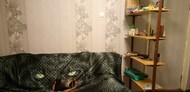 Фото комнаты на продажу (3)