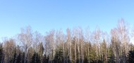 Фото комнаты на продажу (8)