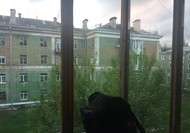 Фото комнаты на продажу (3)