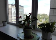 Фото комнаты на продажу (3)