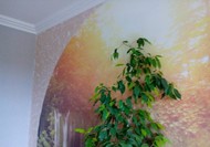 Фото комнаты на продажу (7)