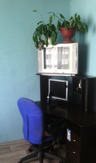 Фото комнаты на продажу (3)