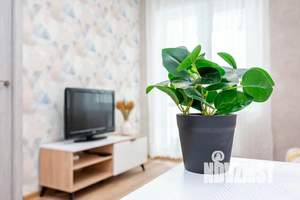 1-к квартира, посуточно, 49м2, 1/1 этаж