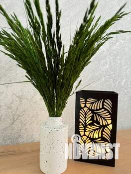 Студия квартира, посуточно, 31м2, 5/17 этаж