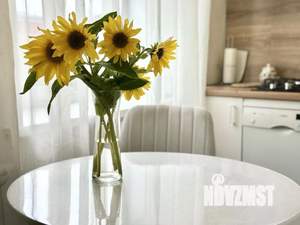 1-к квартира, посуточно, 33м2, 1/1 этаж