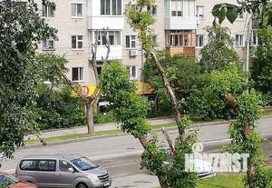 Студия квартира, посуточно, 32м2, 3/5 этаж