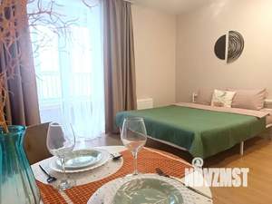 Студия квартира, посуточно, 24м2, 7/10 этаж