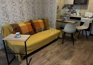 Студия квартира, на длительный срок, 24м2, 10/20 этаж