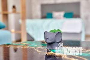 1-к квартира, посуточно, 33м2, 2/25 этаж