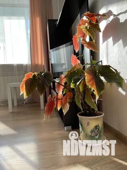 1-к квартира, посуточно, 37м2, 5/5 этаж