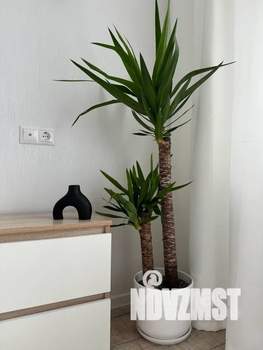 2-к квартира, посуточно, 42м2, 24/24 этаж