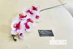 2-к квартира, посуточно, 51м2, 1/1 этаж