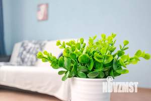 2-к квартира, посуточно, 44м2, 11/25 этаж